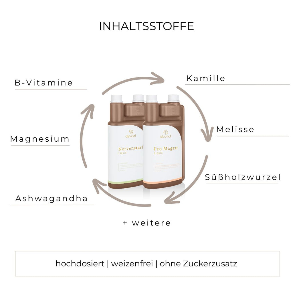 Magenruhe Bundle flüssiges Zusatzfutter Inhaltsstoffe wie B-Vitamine, Magnesium, Ashwagandha, Kamille, Süßholzwurzel und mehr.