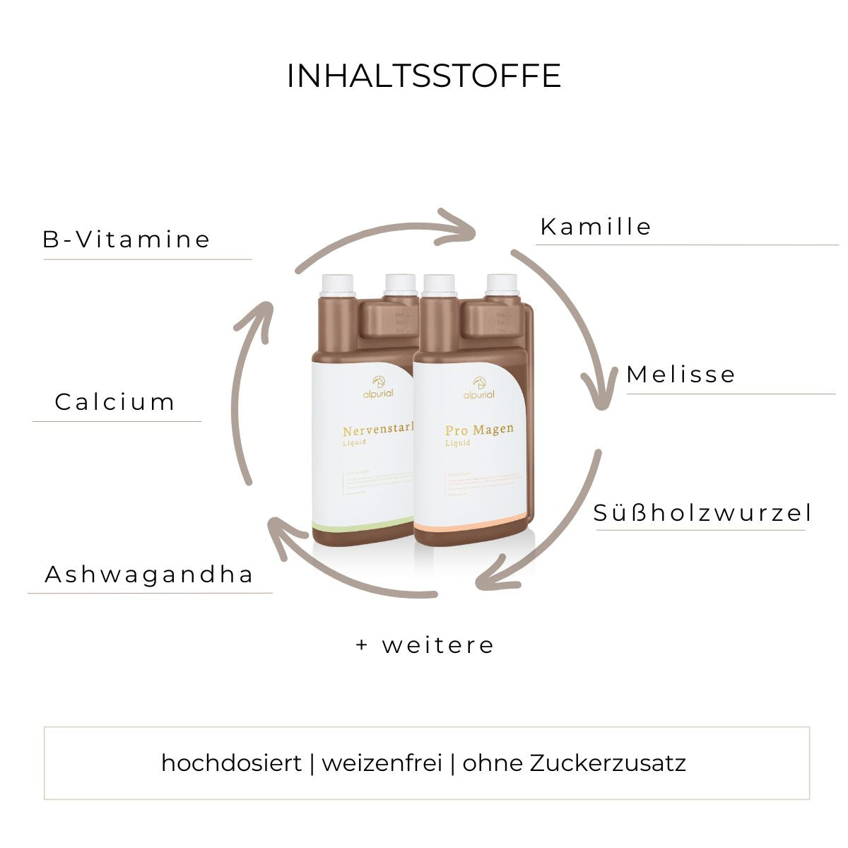Magenruhe Bundle flüssiges Zusatzfutter Inhaltsstoffe wie B-Vitamine, Calcium, Ashwagandha, Kamille, Süßholzwurzel und mehr.