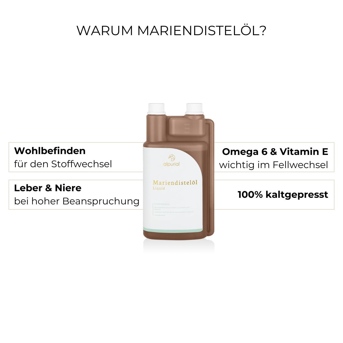 Mariendistelöl Vorteile: Leberentgiftung, Fellwechsel, Nierenfunktion