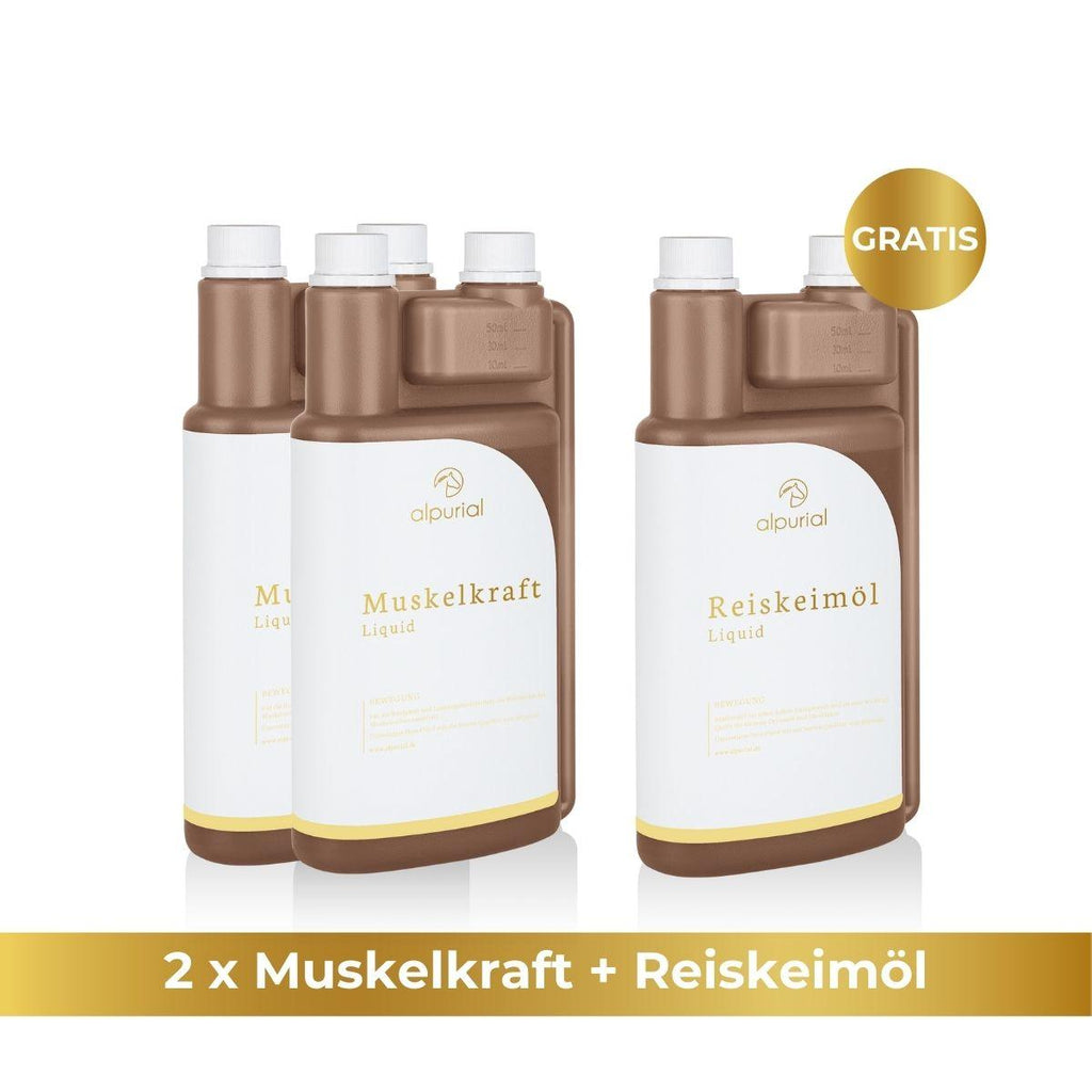Muskelkraft