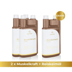 Muskelkraft