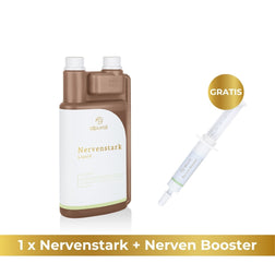 1 Nervenstark + 1 Nerven Booster Gratis