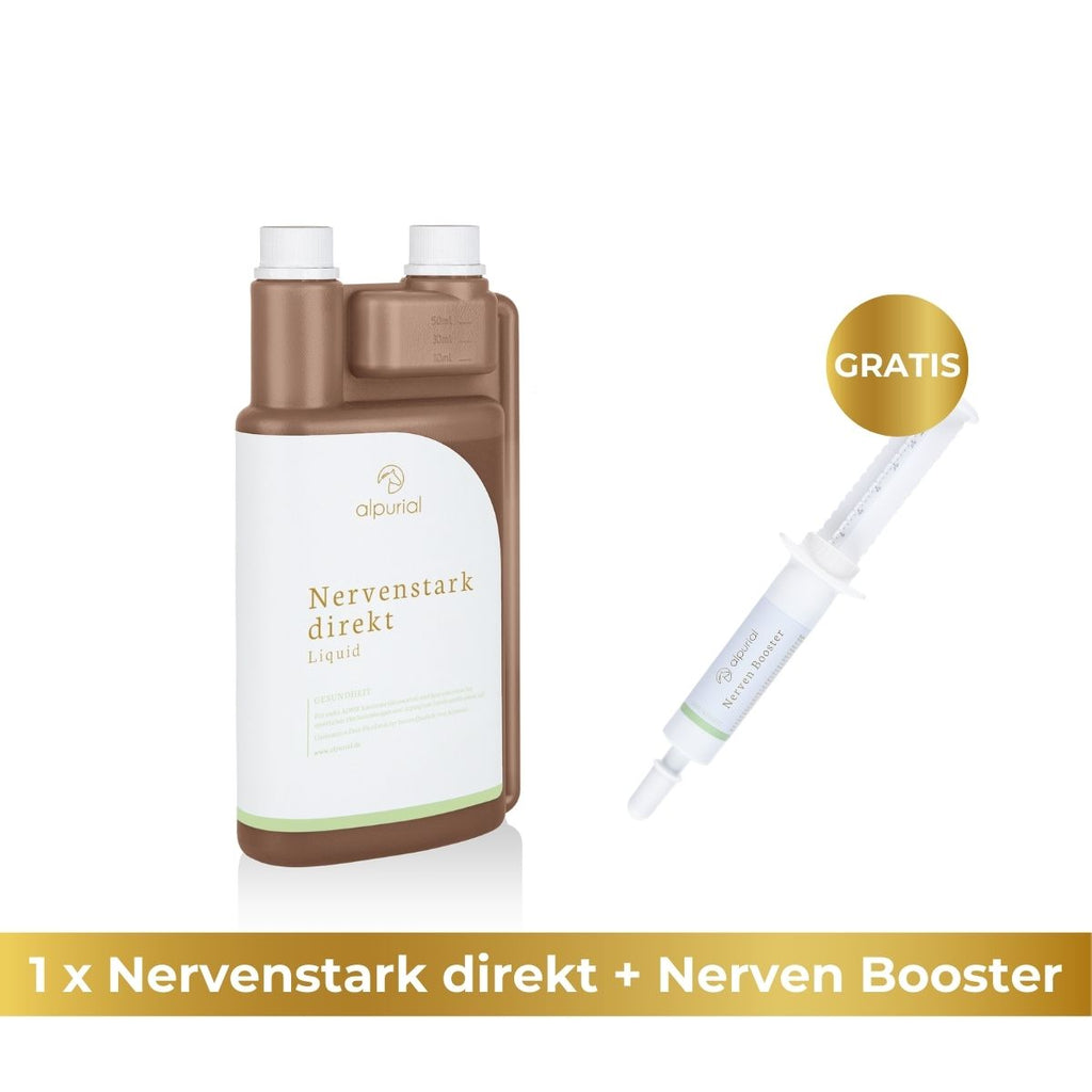 Nervenstark direkt