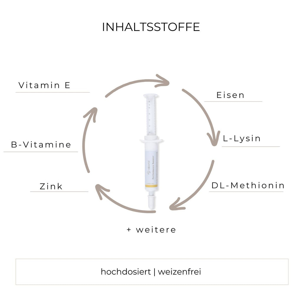Grafik Inhaltsstoffe Performance Booster wie B-Vitamine, Vitamin E, Zink, L-Lysin und mehr.