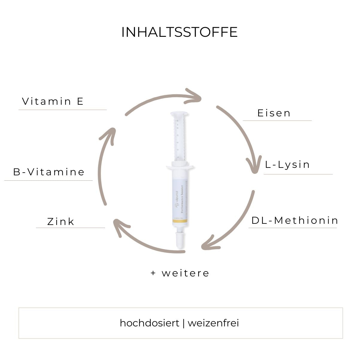 Grafik Inhaltsstoffe Performance Booster wie B-Vitamine, Vitamin E, Zink, L-Lysin und mehr.