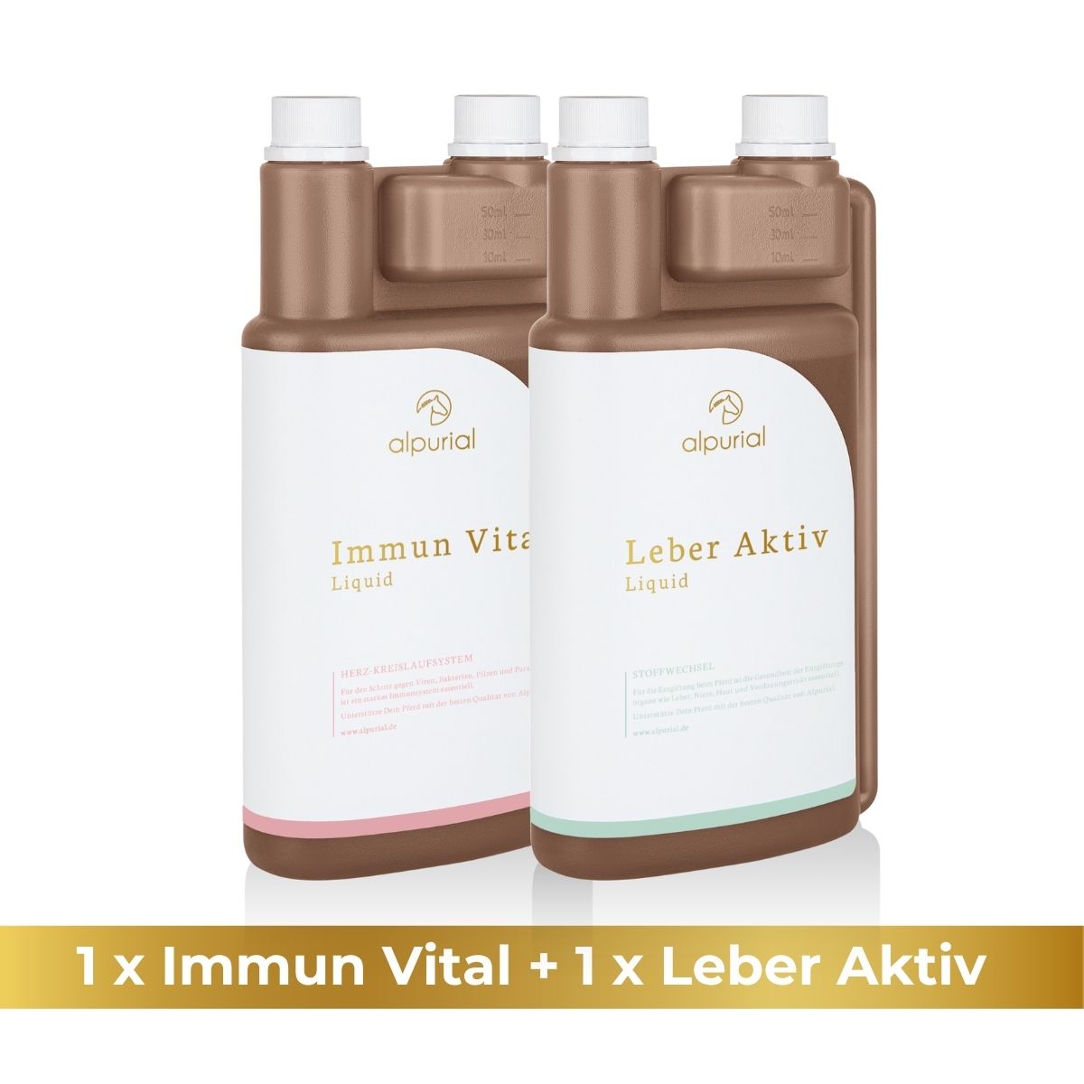 Sarkoid Bundle Immunvital, Leber Aktiv