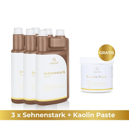 3x Sehnenstark -15% + GRATIS Kaolin Paste