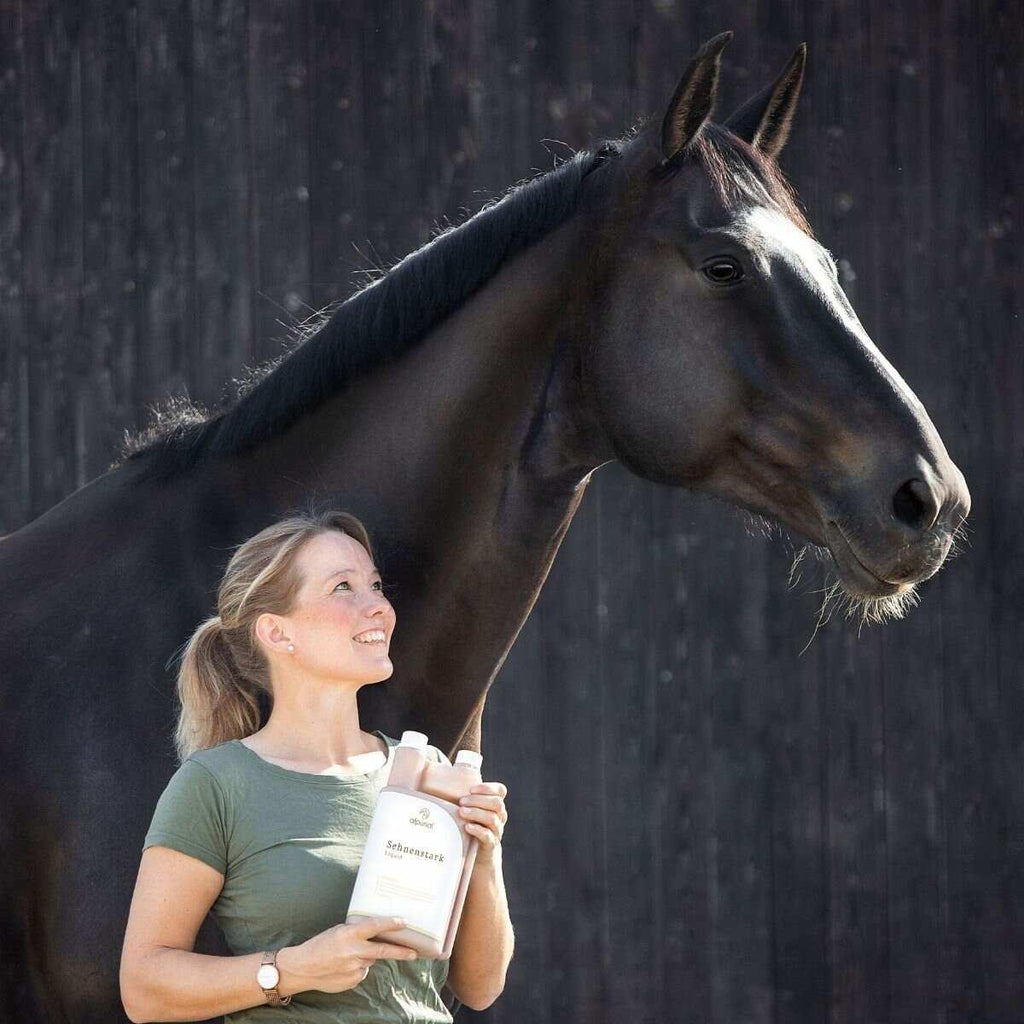 Sehnenstark flüssiges Pferdefutter zur Sehnenunterstützung Anwendung am Pferd Alpurial