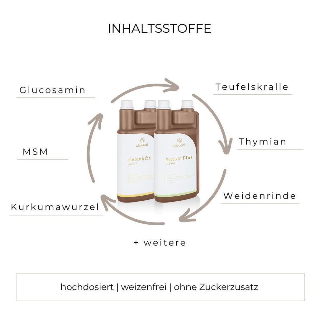 Senior Bundle flüssiges Zusatzfutter Inhaltsstoffe wie Teufelskralle, MSM, Hyaluron und mehr.