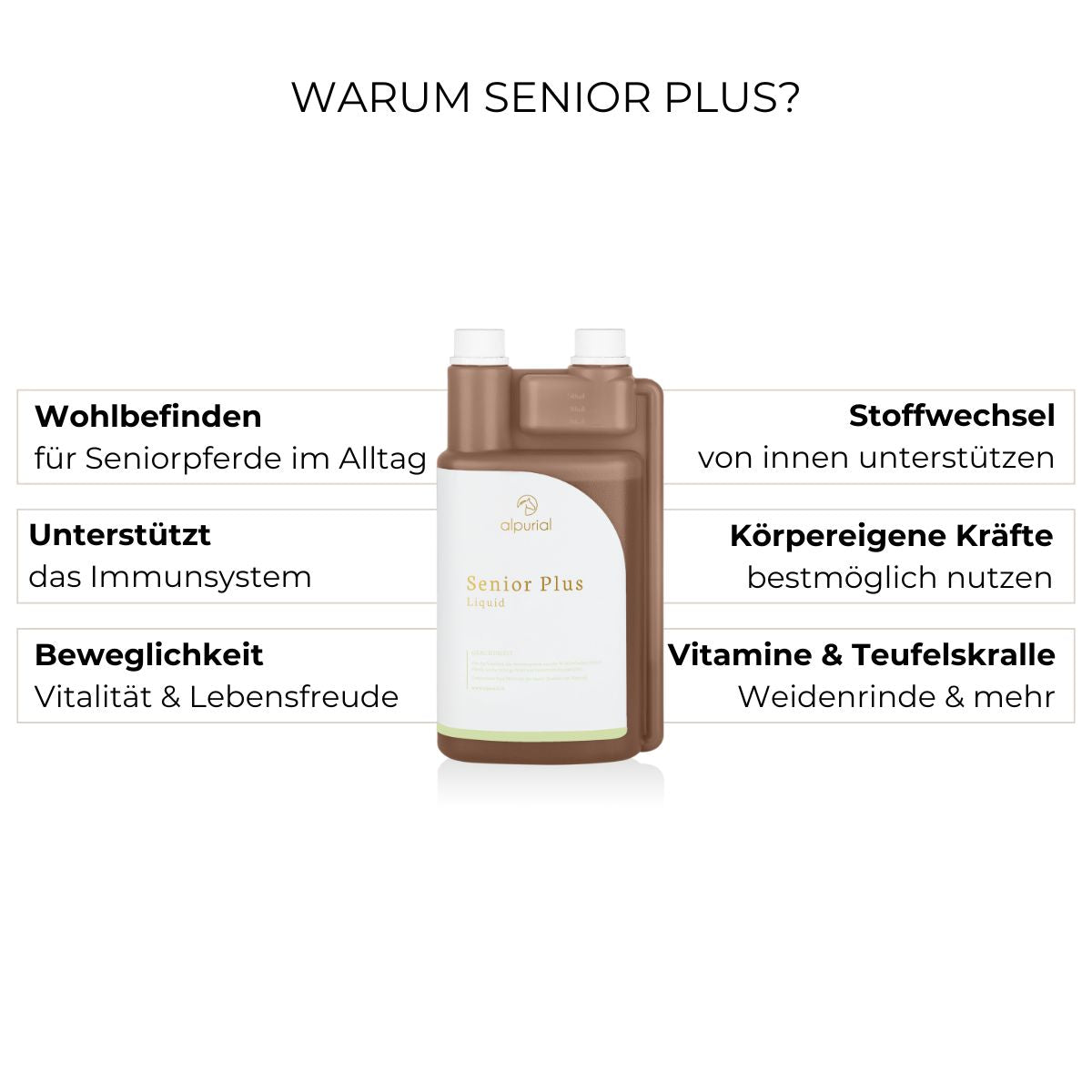 Senior Plus Vorteile: Beweglichkeit, Immunsystem, Energie