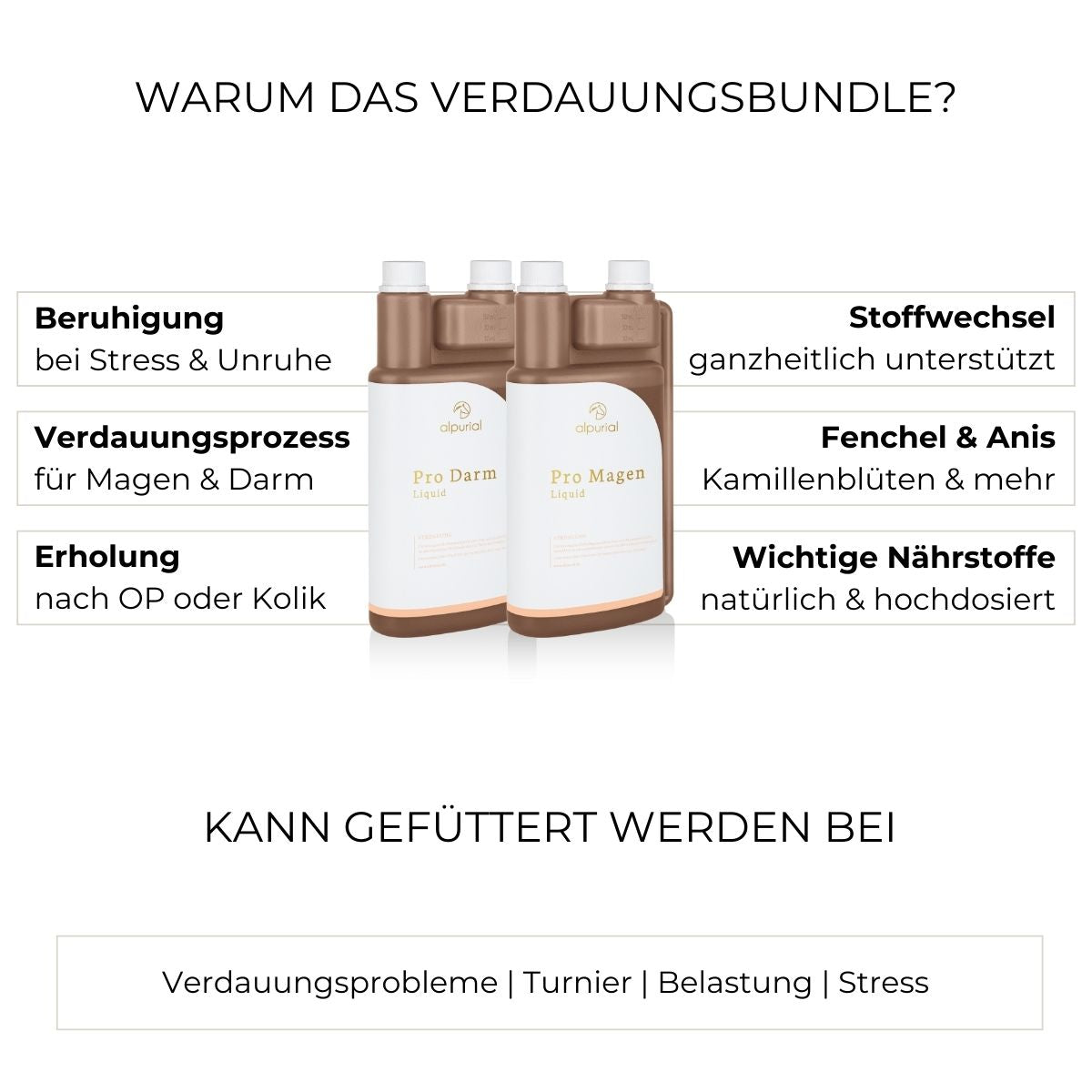 Premium Verdauungsbundle