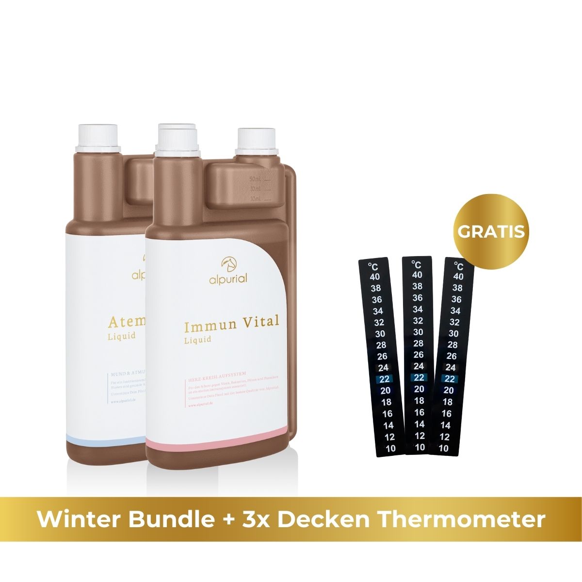 Premium Winter Bundle